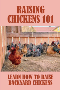 Raising Chickens 101