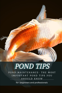 Pond Tips