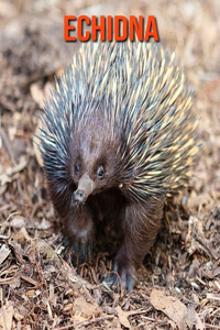 Echidna