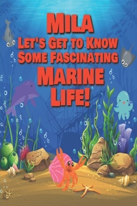 Mila Let's Get to Know Some Fascinating Marine Life!