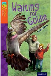 Oxford Reading Tree TreeTops Fiction: Level 13: Waiting for Goldie