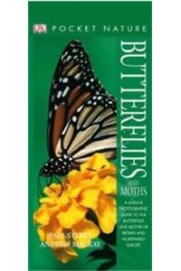 Butterflies & Moths