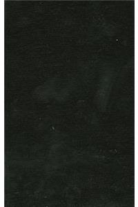 The Union Kommando in Auschwitz