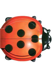 Little Ladybug