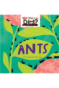 Ants