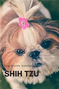 Shih Tzu