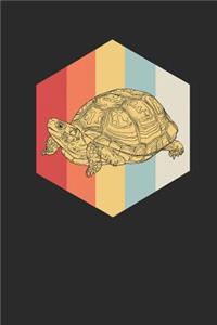 Turtles Polygon