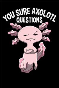 You Sure Axolotl Questions - Notebook