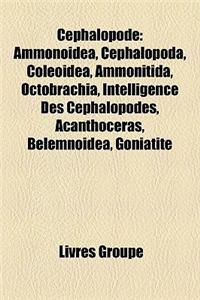 Cephalopode