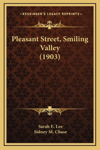 Pleasant Street, Smiling Valley (1903)