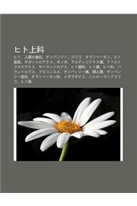 Hito Shang K: Hito, Ren Leino Jin Hua, Chinpanj, Gorira, Oran' Tan, Hito YA Zu, Gigantopitekusu, Bonobo, Arudipitekusu Sh