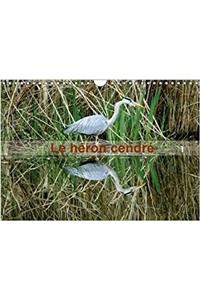 Le Heron Cendre 2018