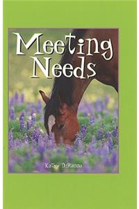 Meeting Needs