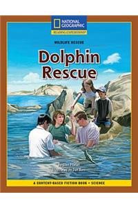 Content-Based Chapter Books Fiction (Science: Wildlife Rescue): Dolphin Rescue