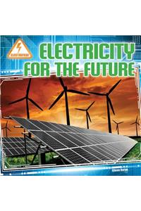 Electricity for the Future