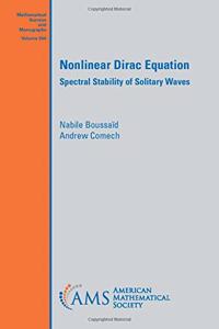 Nonlinear Dirac Equation