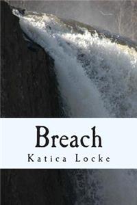 Breach