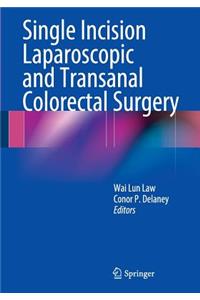 Single Incision Laparoscopic and Transanal Colorectal Surgery