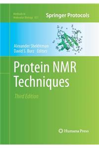 Protein NMR Techniques