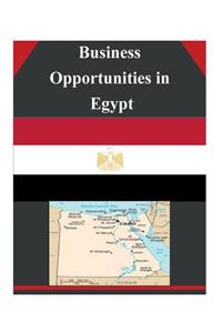 Business Opportunities in Egypt