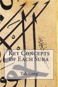 Key Concepts of Each Sura