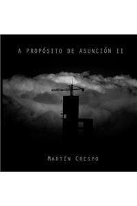 Proposito de Asuncion II