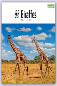 2023 Wwf Giraffes Wall Calendar Plastic Free