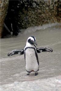 Magellanic Penguin (Spheniscus Magellanicus) in Antarctica Journal