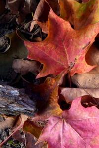 Autumn Leaves Journal