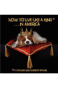 How to Live Like a King.in America