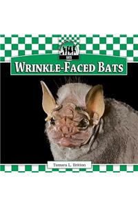 Wrinkle-Faced Bats