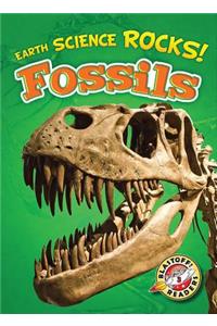 Fossils