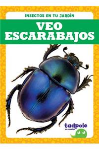 Veo Escarabajos (I See Beetles)