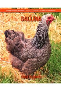 Gallina