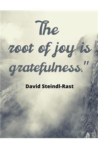 The root of joy is gratefulness.