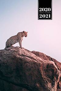 Panther Leopard Cheetah Cougar Week Planner Weekly Organizer Calendar 2020 / 2021 - Sunset on Mountain Top