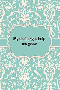 My Challenges Help me Grow, Notebook