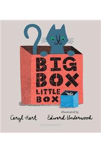 Big Box Little Box