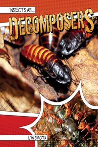 Insects as Decomposers