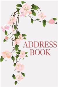 Address Book