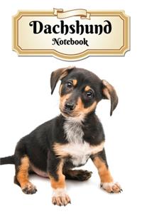 Dachshund Notebook: Doxie Puppy - Composition Book 150 pages 6 x 9 in. - Wide Ruled - Writing Notebook - Lined Paper - Soft Cover - Plain Journal