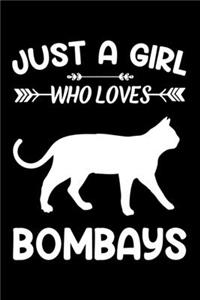 Just a girl who loves Bombays