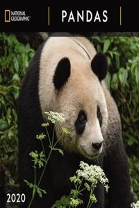 Cal 2020-National Geographic Pandas Wall