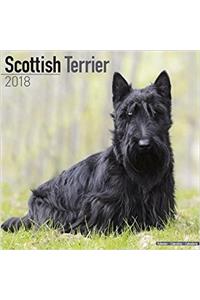 Scottish Terrier Calendar 2018