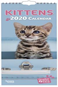Kittens 2020 Slim Calendar (Studio Pets)