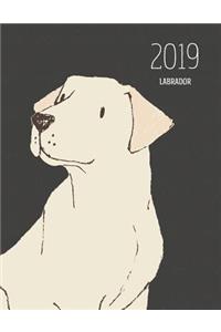 2019 Labrador