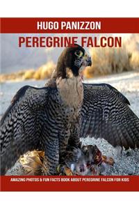 Peregrine Falcon: Amazing Photos & Fun Facts Book about Peregrine Falcon for Kids
