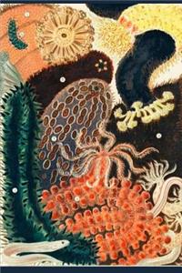 The Great Barrier Reef Journal