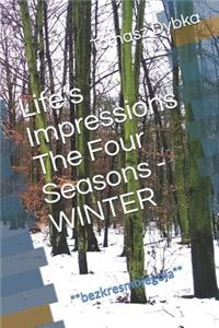 Life's Impressions the Four Seasons - Winter