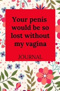 Your Penis Would Be So Lost Without My Vagina